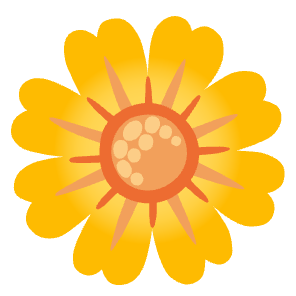 安卓
