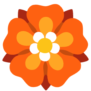 安卓