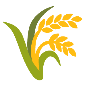 安卓