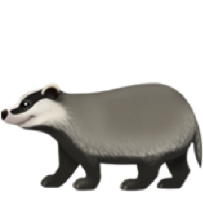 苹果