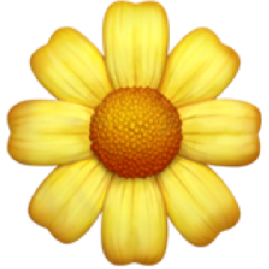 苹果