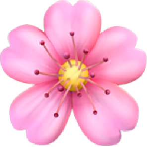 苹果