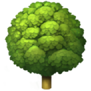 苹果
