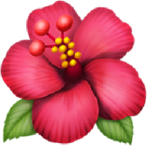 苹果
