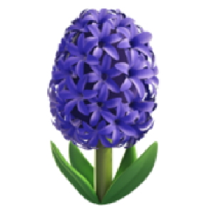 苹果
