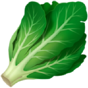 苹果