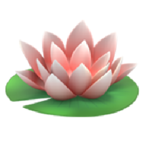 苹果
