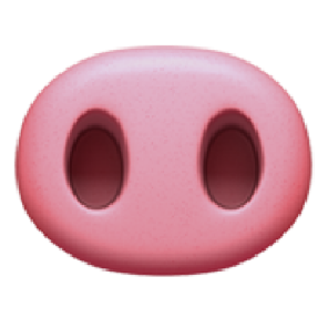 苹果