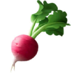 苹果