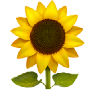 苹果
