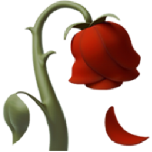 苹果