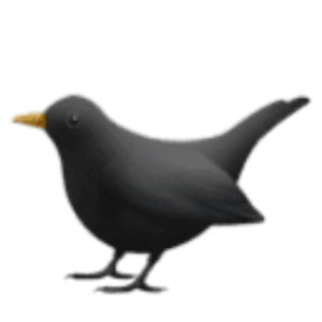 华为