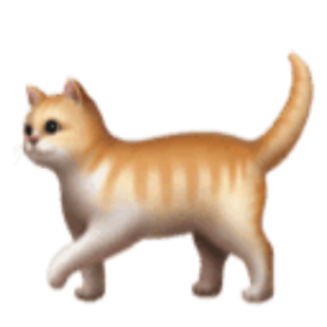 华为