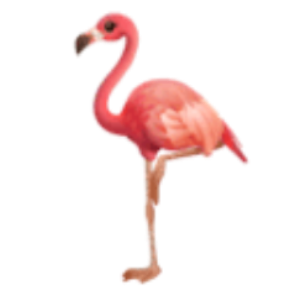 华为